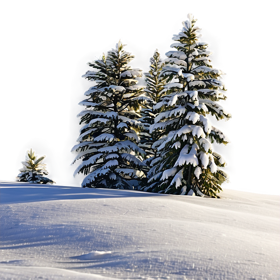 Spruce Tree In Snowy Landscape Png Udq72 PNG image