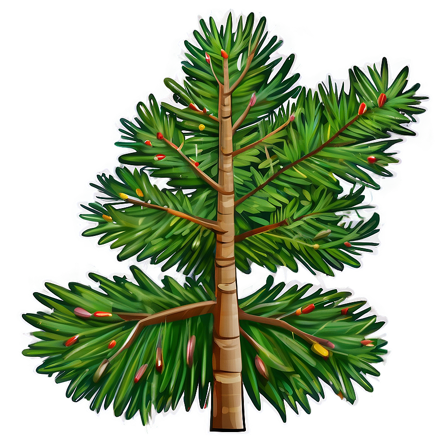 Spruce Tree Line Art Png Tku59 PNG image