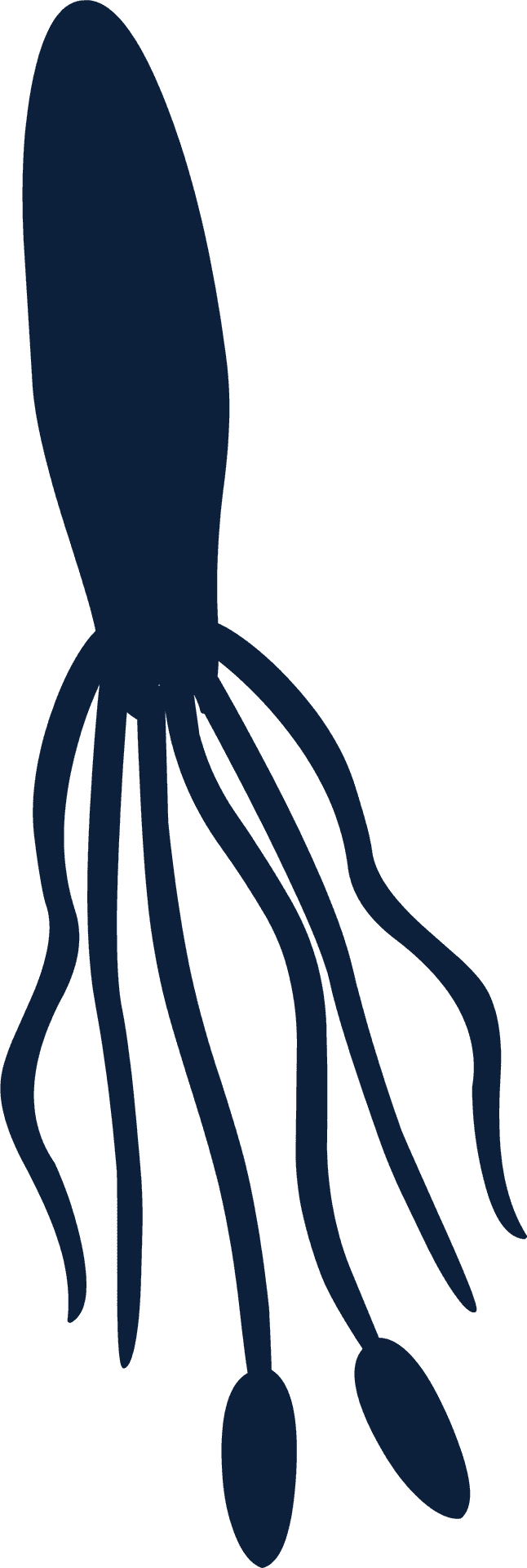 Squid Silhouette Graphic PNG image
