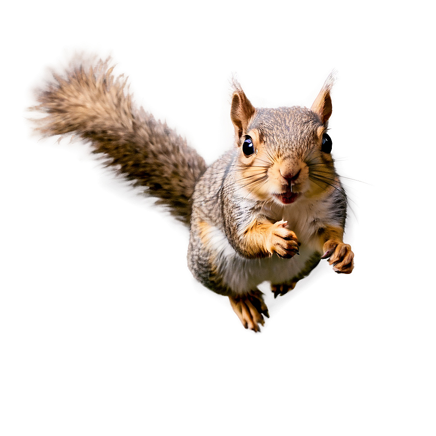 Squirrel In Flight Png 06262024 PNG image