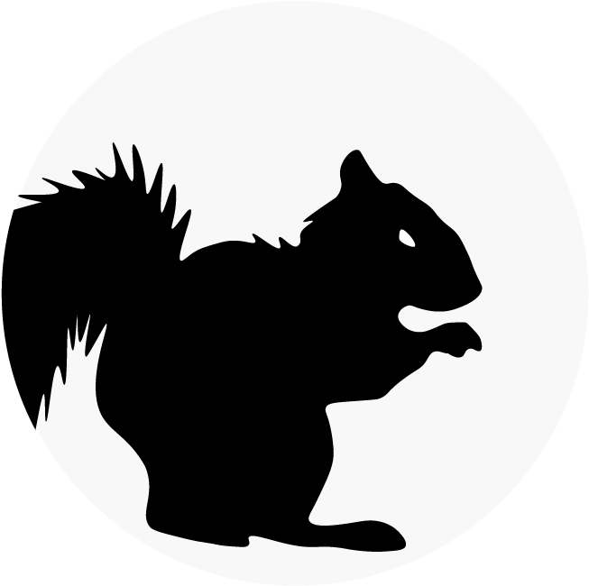 Squirrel Silhouette Graphic PNG image