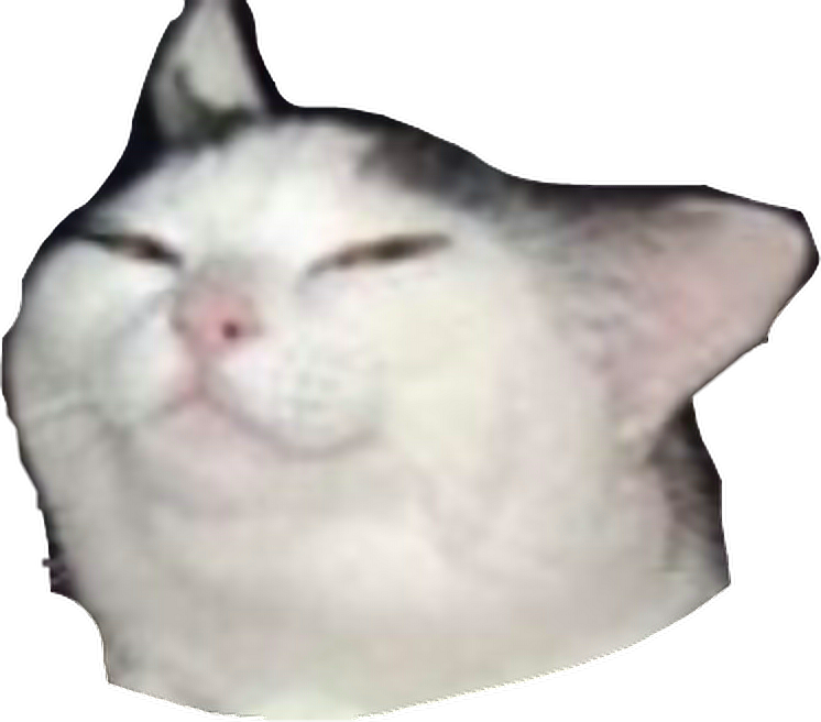 Squished Cat Face Meme.png PNG image