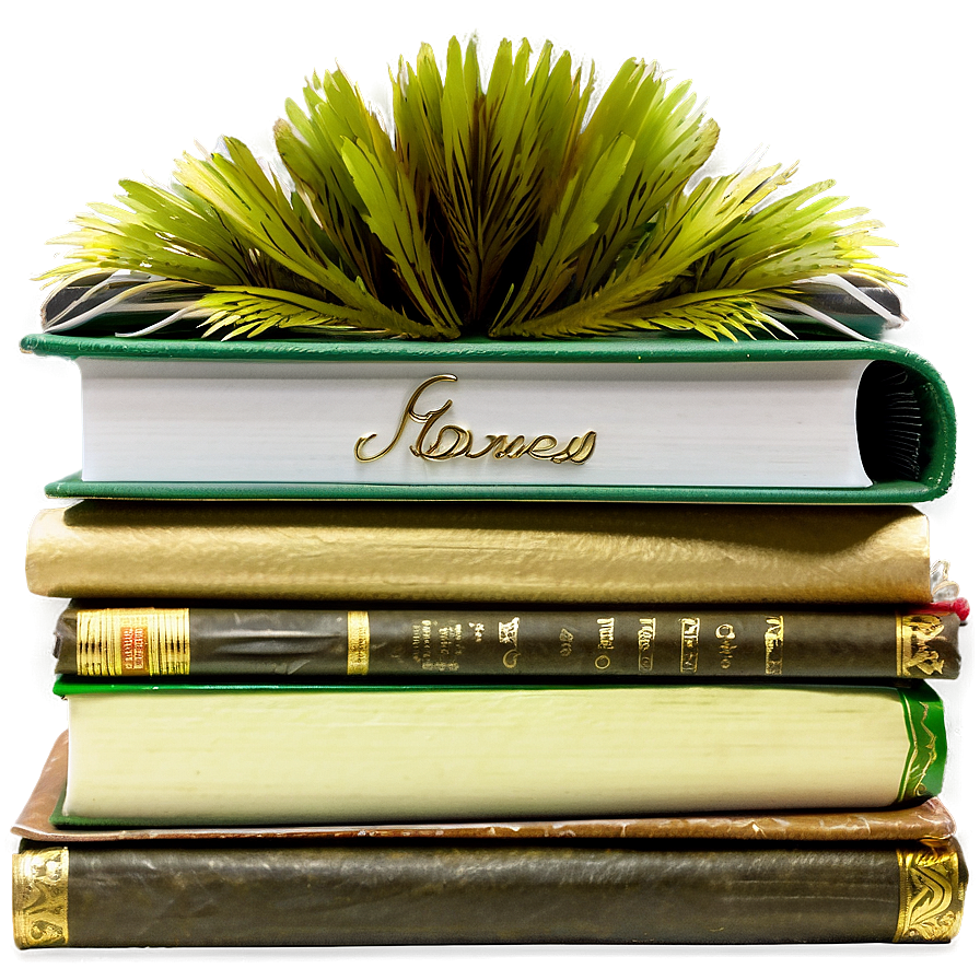 Stack Of Novels Png 72 PNG image