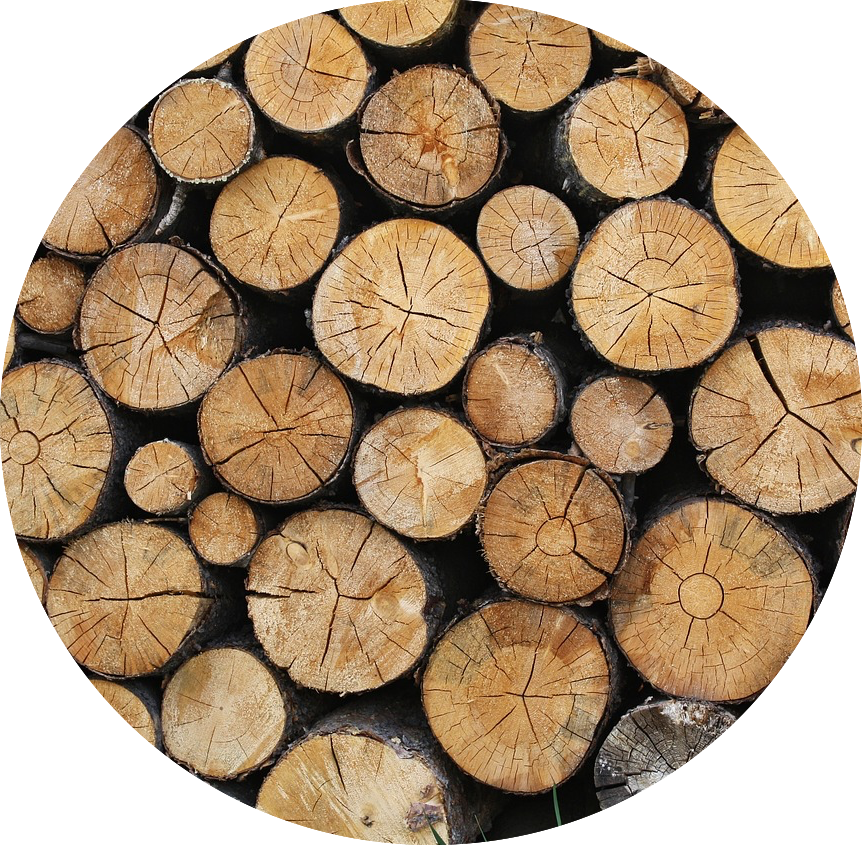 Stacked Logs Cross Section Texture PNG image
