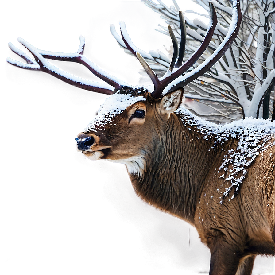 Stag In Winter Wonderland Png Wed PNG image