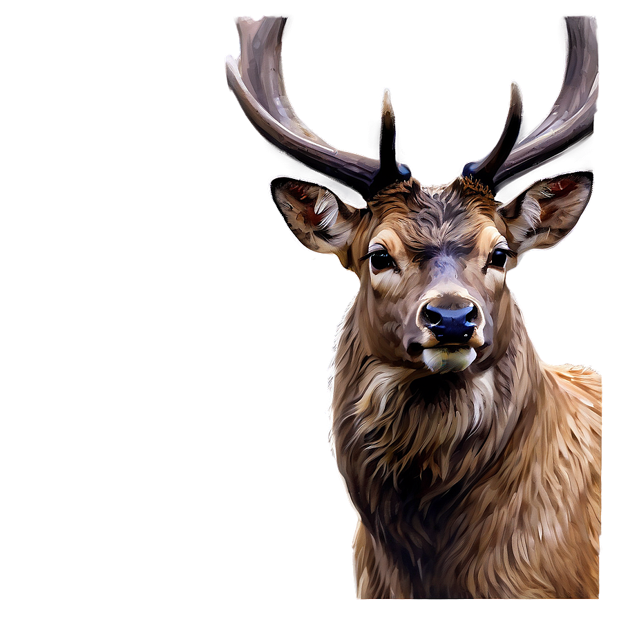 Stag Watercolor Painting Png 44 PNG image