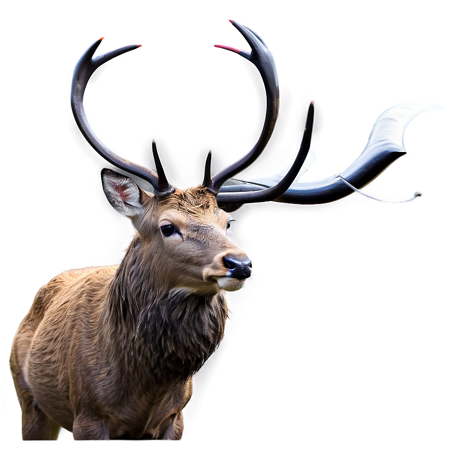 Stag With Birds Png Whb87 PNG image