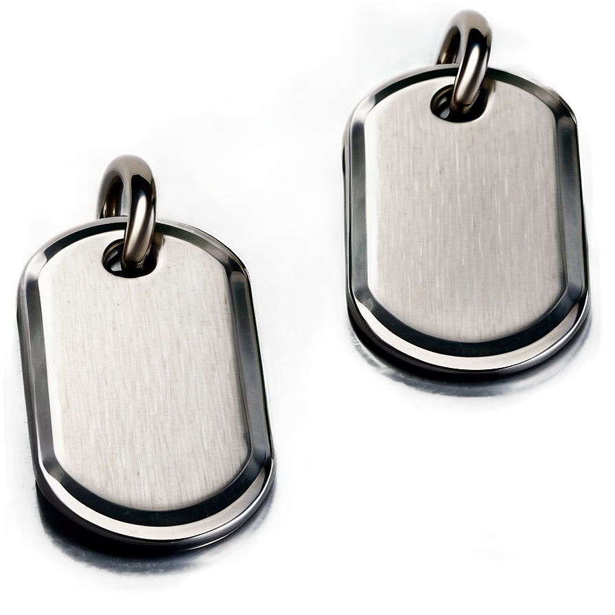 Stainless Steel Dog Tags Png 06212024 PNG image