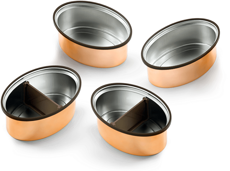 Stainless Steel Tiffin Box Compartments PNG image