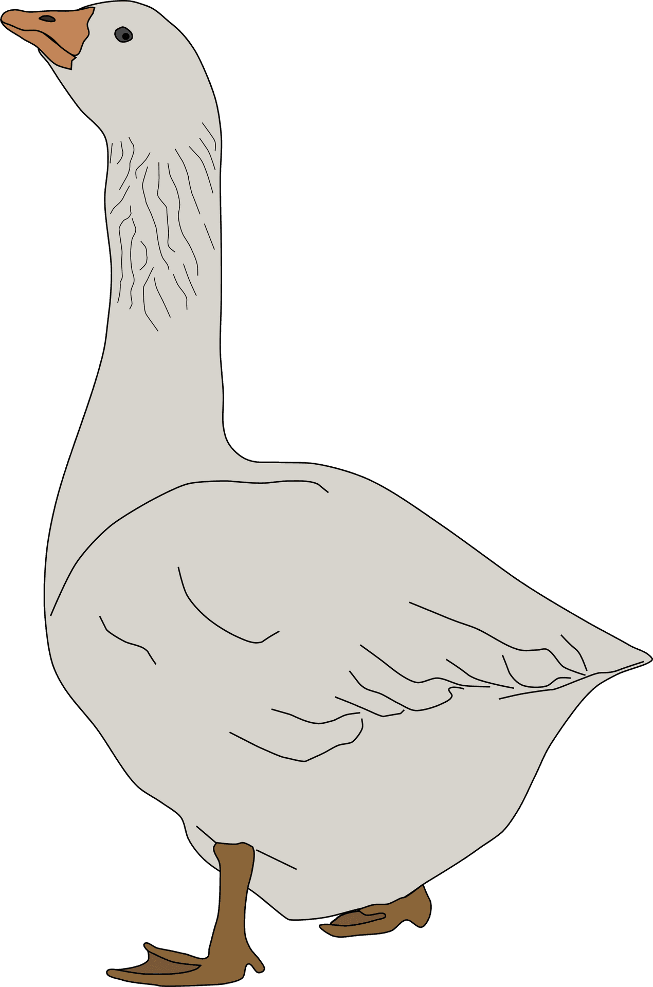 Standing Goose Illustration.png PNG image