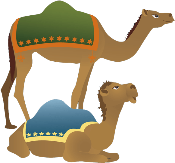 Standingand Sitting Camels Illustration PNG image