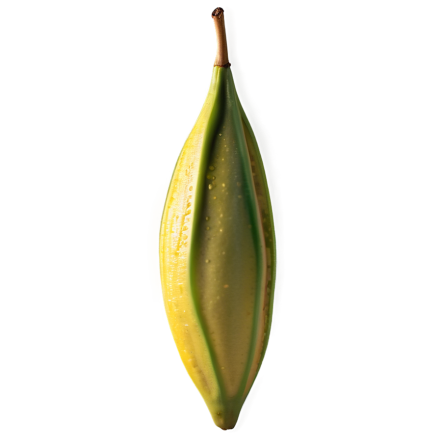 Star Fruit Detail Png 2 PNG image