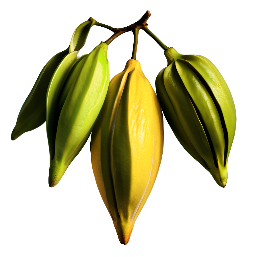 Star Fruit Illustration Png 06252024 PNG image