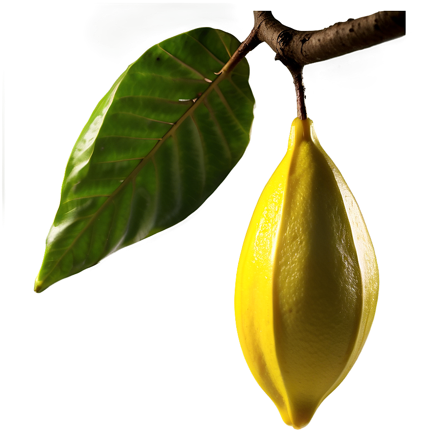 Star Fruit On Branch Png Rin PNG image