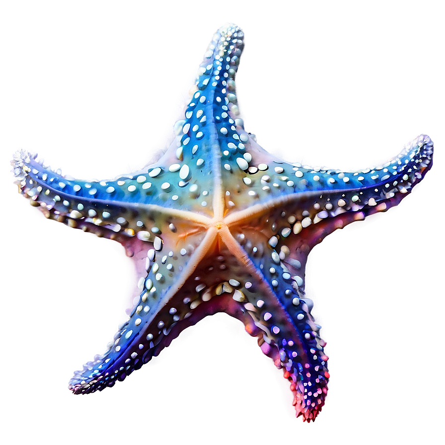 Starfish And Coral Reef Png 05242024 PNG image