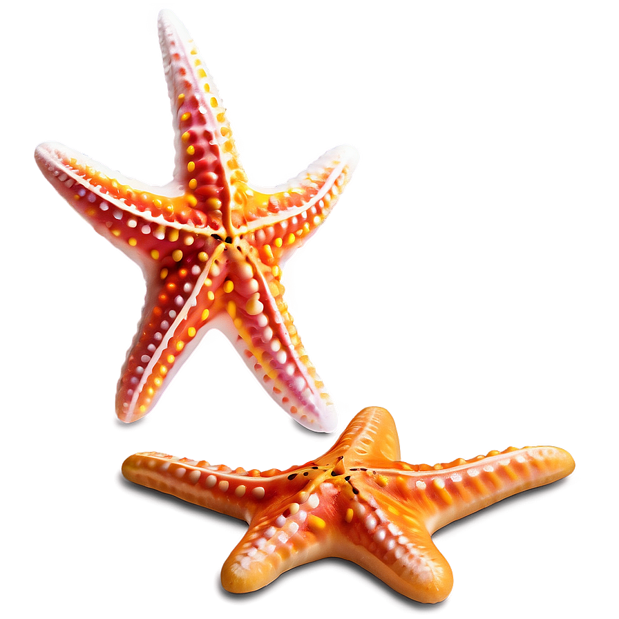 Starfish Clipart Png 48 PNG image