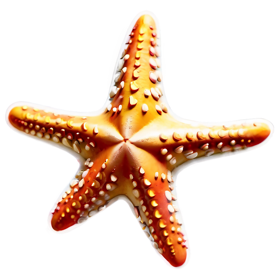 Starfish Emoji Png Ala PNG image