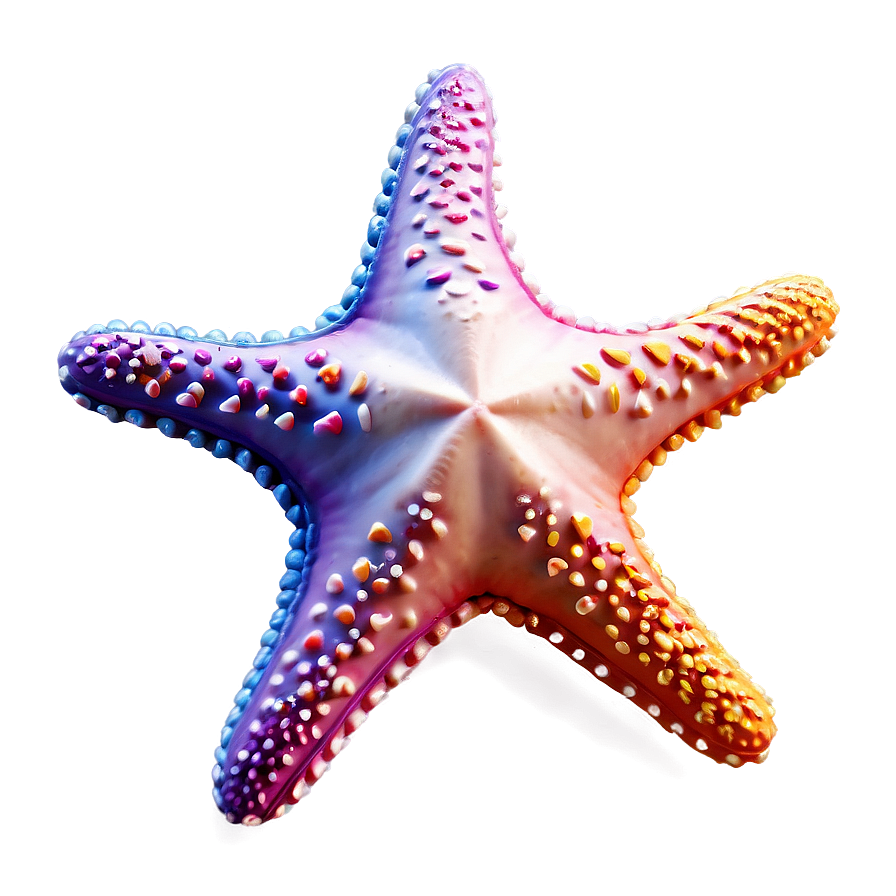 Starfish For Kids Png Xyp12 PNG image