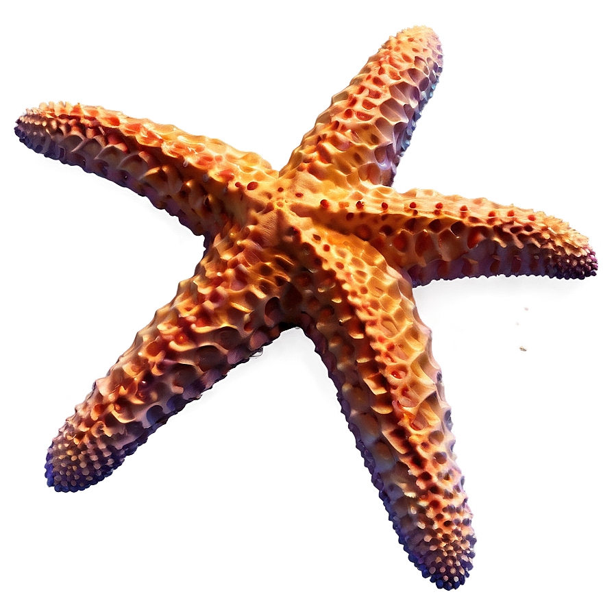 Starfish In Low Poly Png 05242024 PNG image