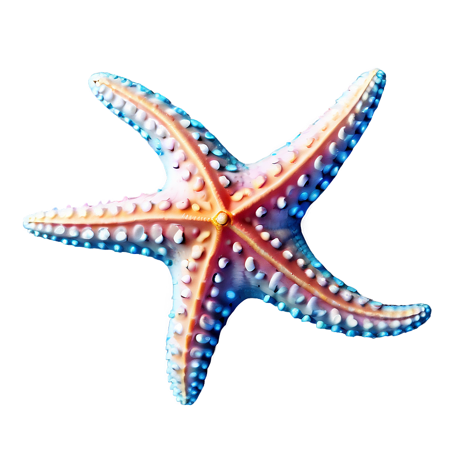 Starfish Png Kpw47 PNG image