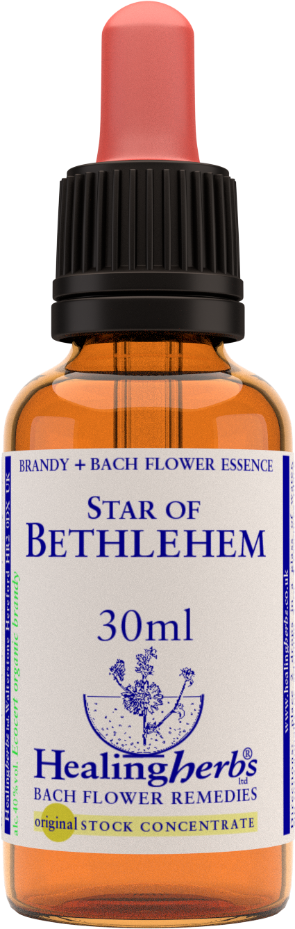 Starof Bethlehem Healing Essence Bottle PNG image