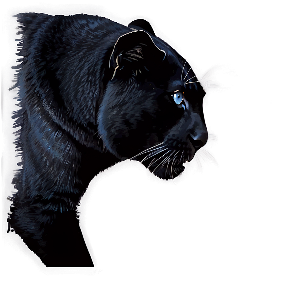 Stealthy Panthers In Night Png 06202024 PNG image