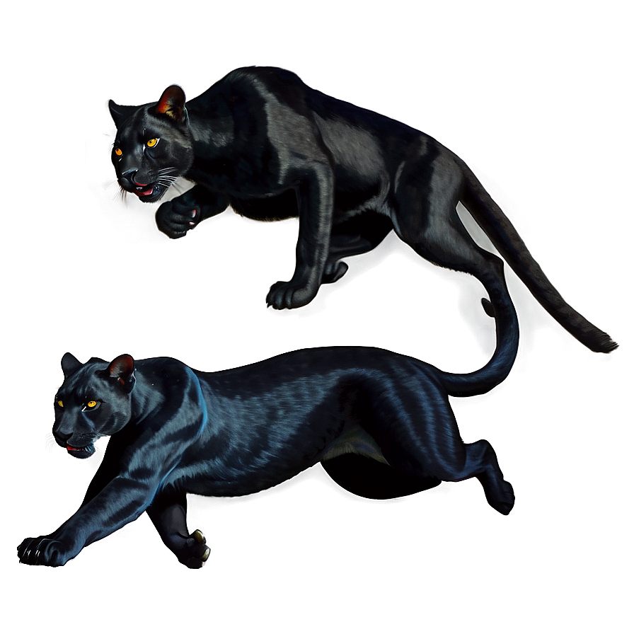 Stealthy Panthers In Night Png Ech91 PNG image