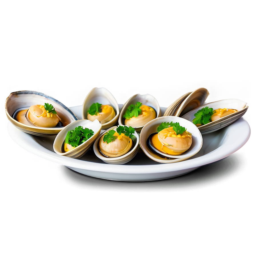 Steamed Clam Delicacy Png 96 PNG image