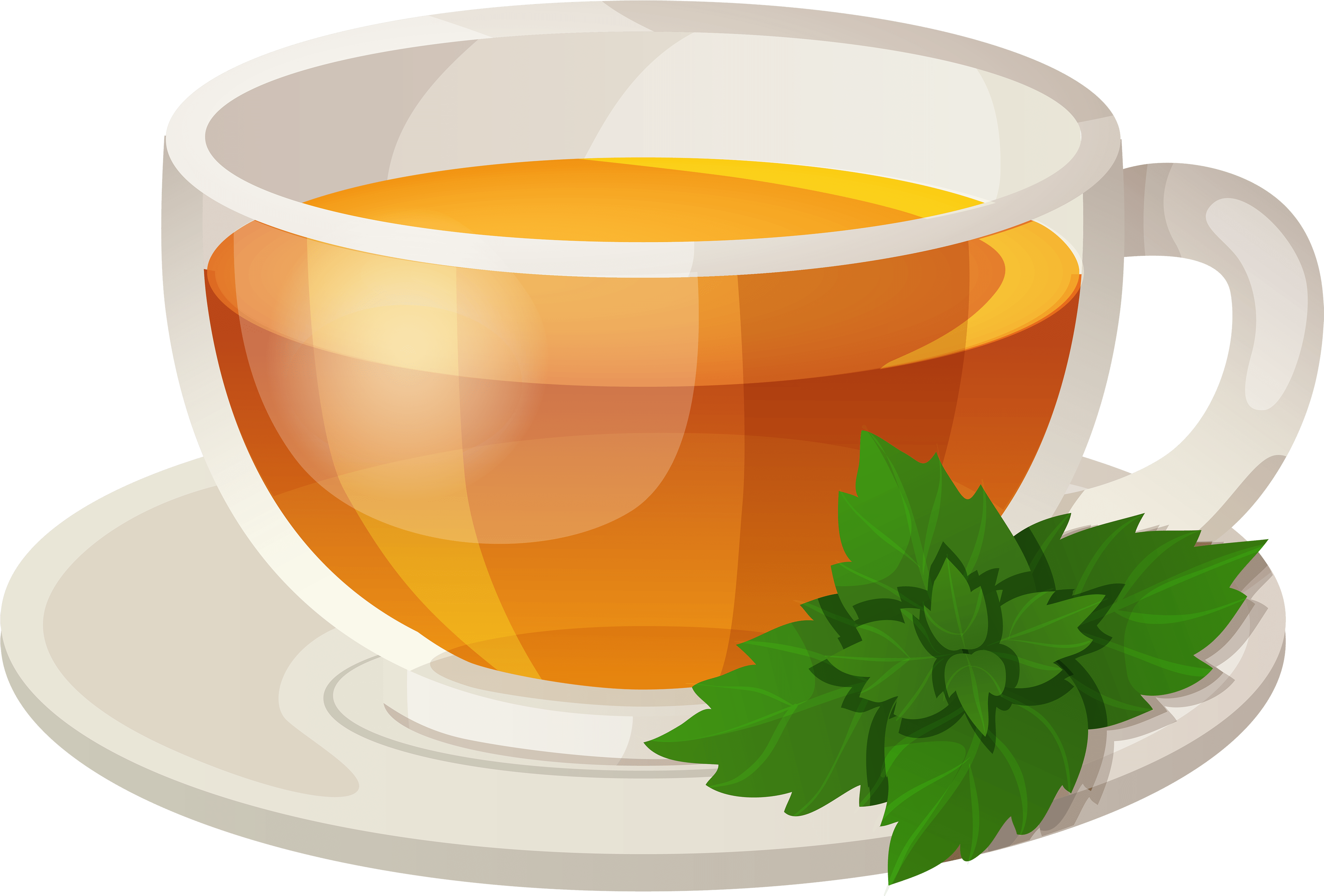 Steaming Green Tea Cup Vector PNG image