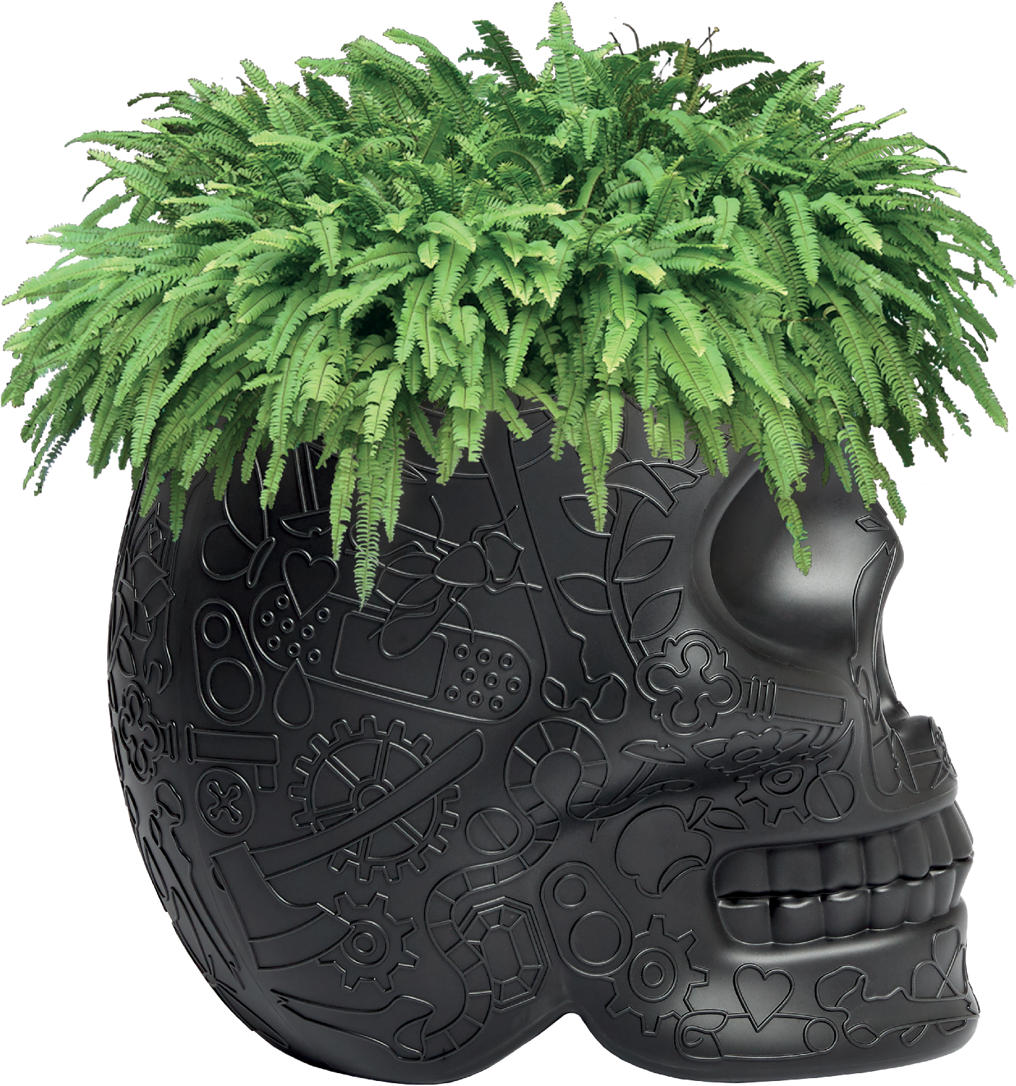 Steampunk Skull Planterwith Ferns PNG image