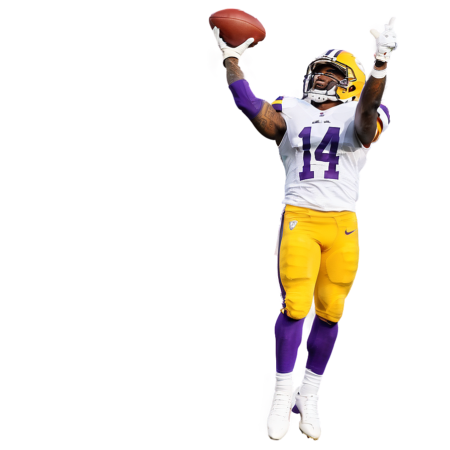 Stefon Diggs Game-winning Catch Png 14 PNG image