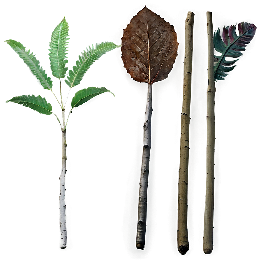 Sticks And Leaves Png Nkr PNG image