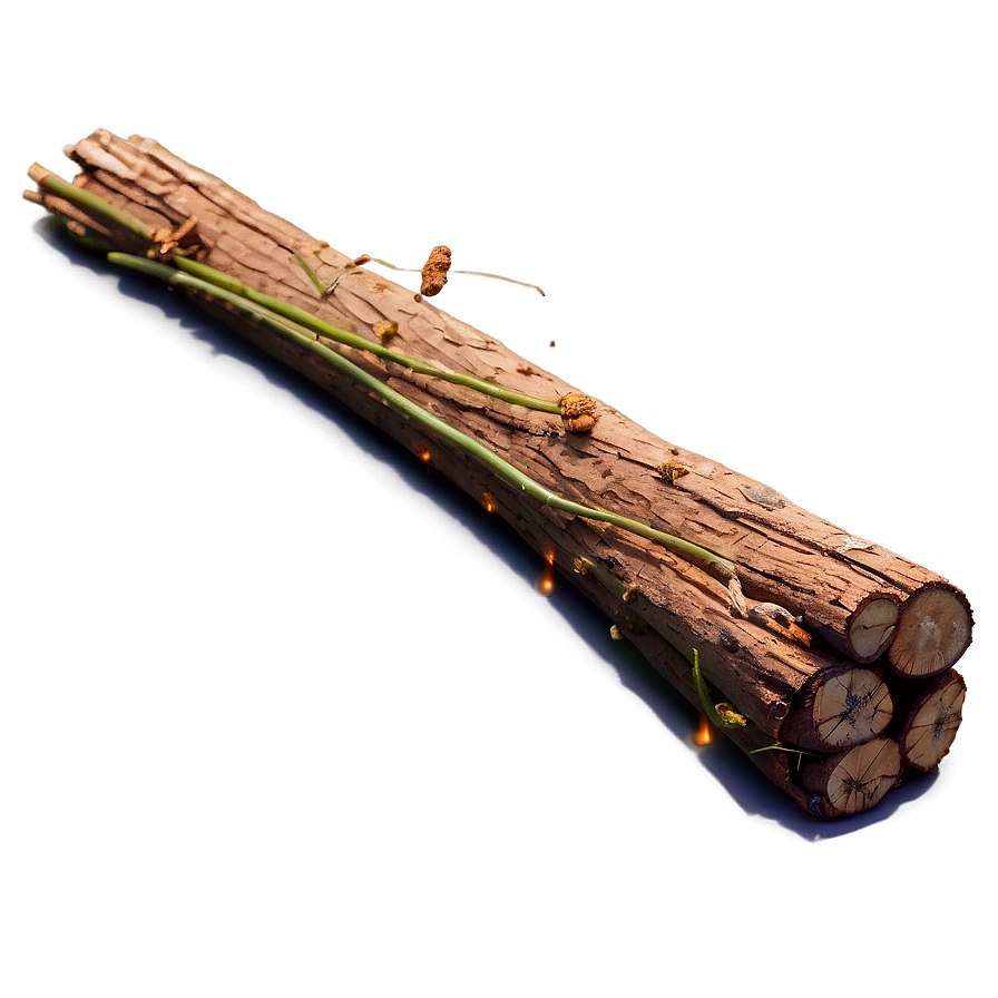 Sticks For Campfire Png 06132024 PNG image