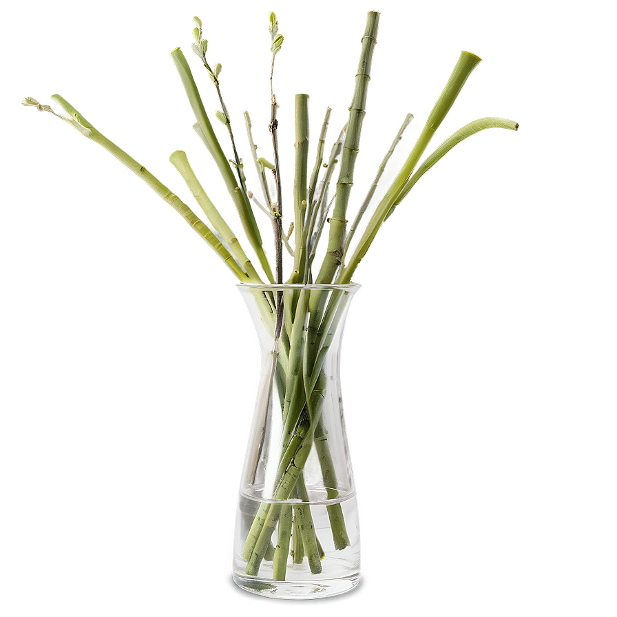 Sticks In Vase Png Yyy PNG image