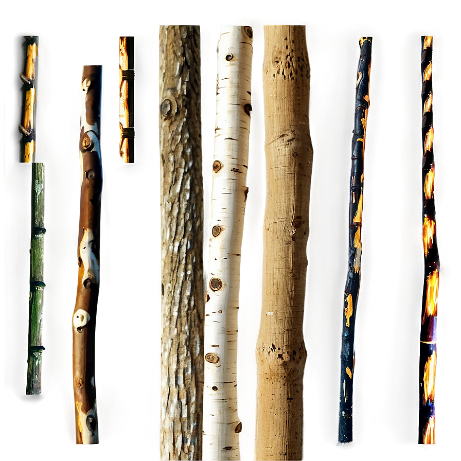 Sticks Texture Png 06132024 PNG image