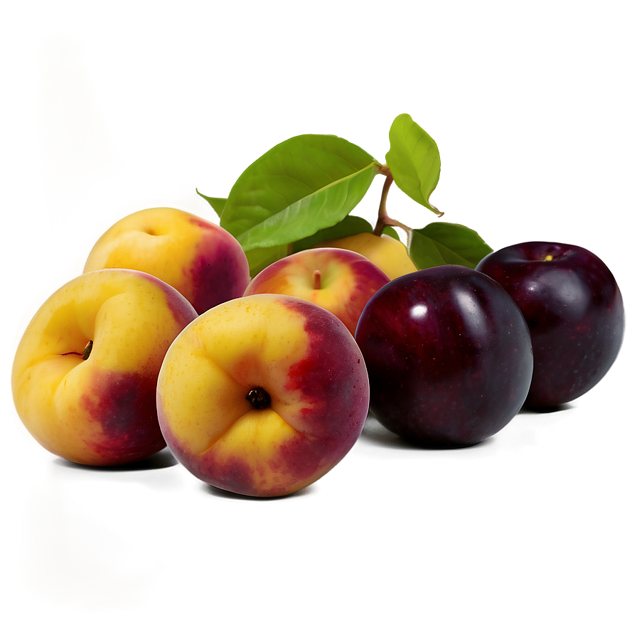 Stone Fruit Ensemble Png 28 PNG image