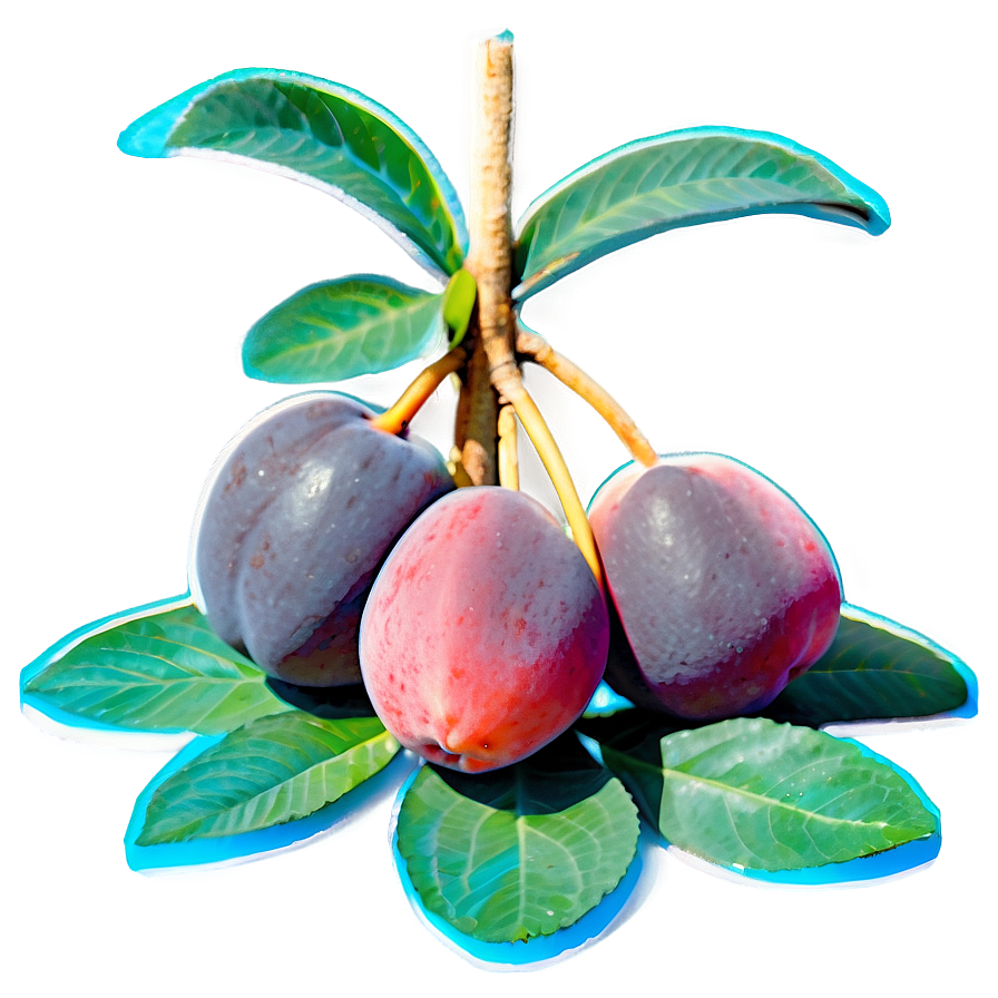 Stone Fruit Ensemble Png 41 PNG image