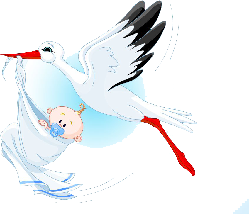 Stork Delivering Baby Cartoon PNG image