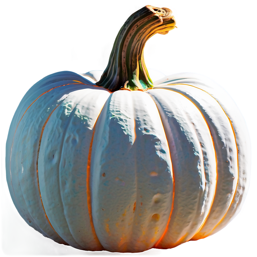 Storybook Pumpkin Outline Image Png 61 PNG image