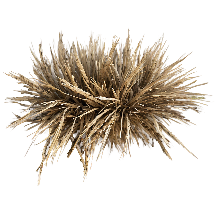 Straw-like Dry Grass Png Tam PNG image