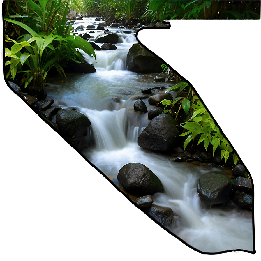 Stream In Rainforest Png 06262024 PNG image