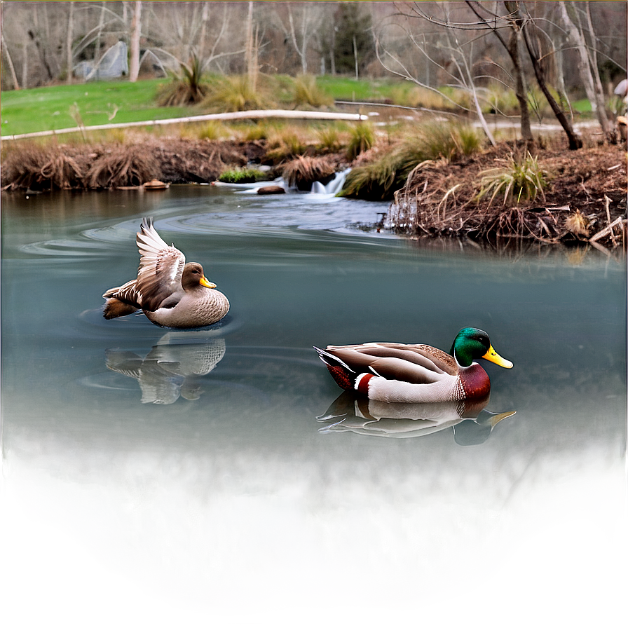 Stream With Ducks Png 91 PNG image