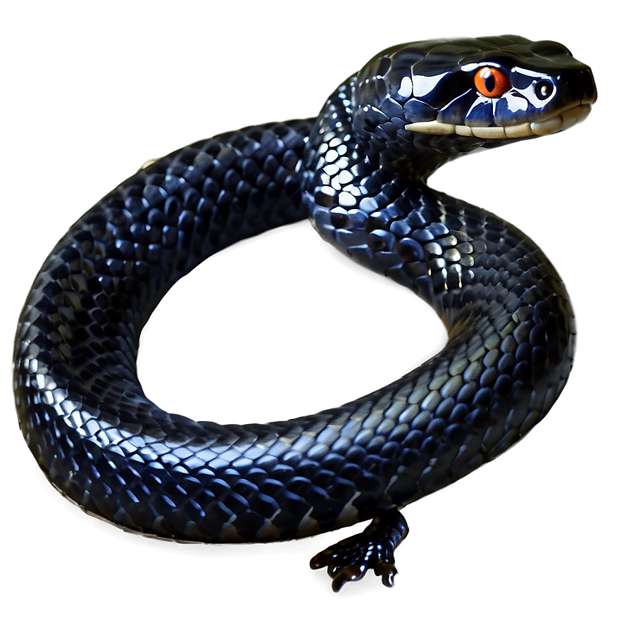 Striking Black Snake Png 06132024 PNG image