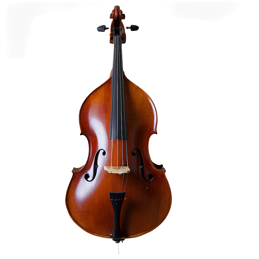 String Double Bass Png Tma PNG image