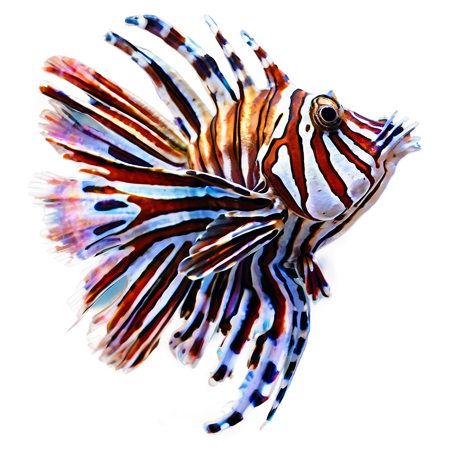 Striped Lionfish Artwork Png Chi40 PNG image