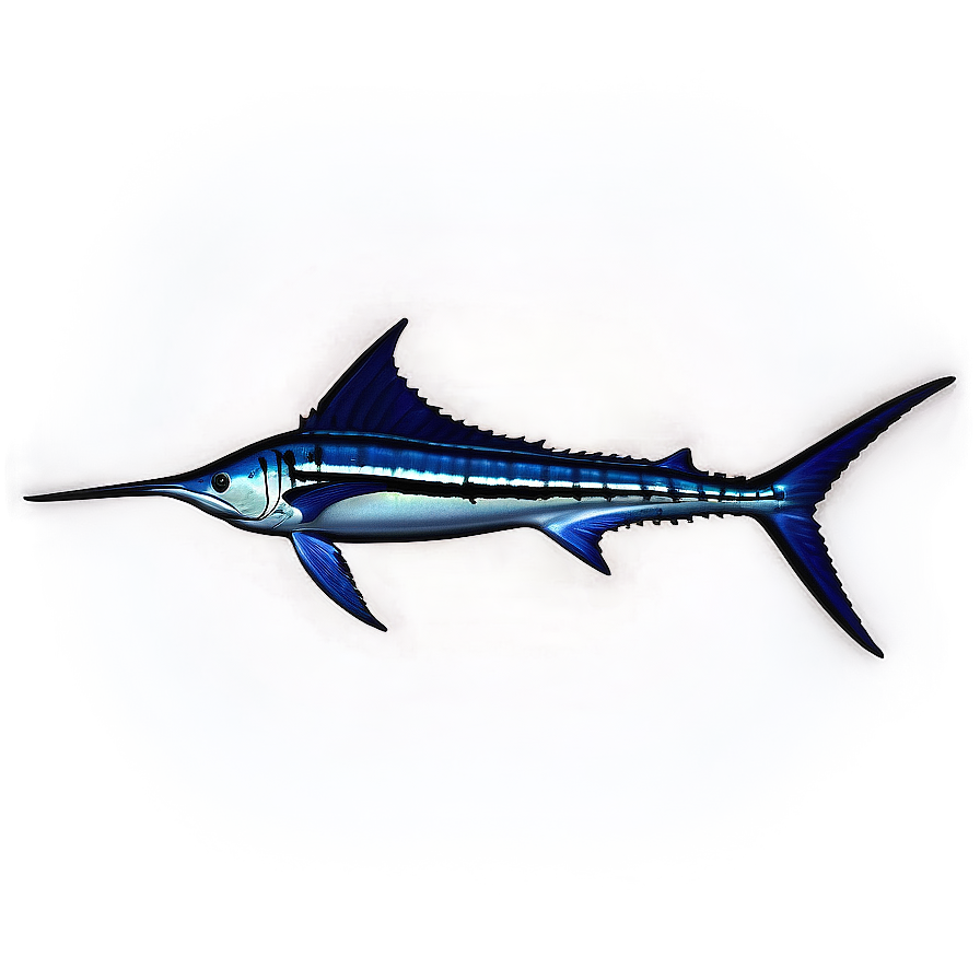 Striped Marlin Png Xjm PNG image