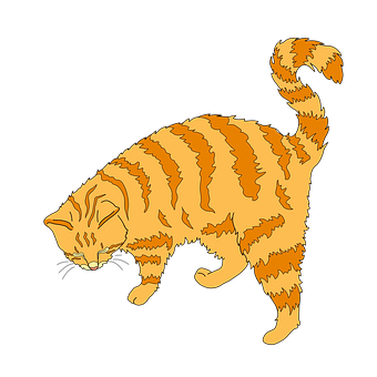 Striped Orange Cat Illustration PNG image