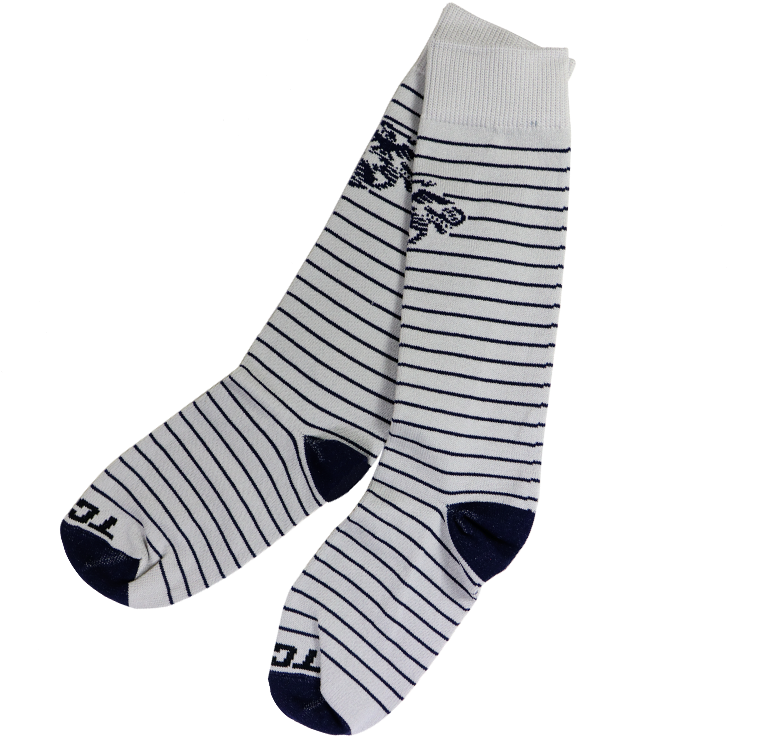 Striped Sockswith Floral Pattern PNG image