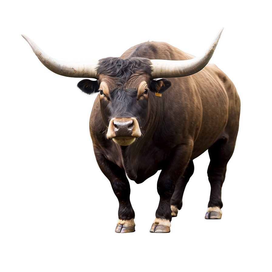 Strong Bull Png 05062024 PNG image