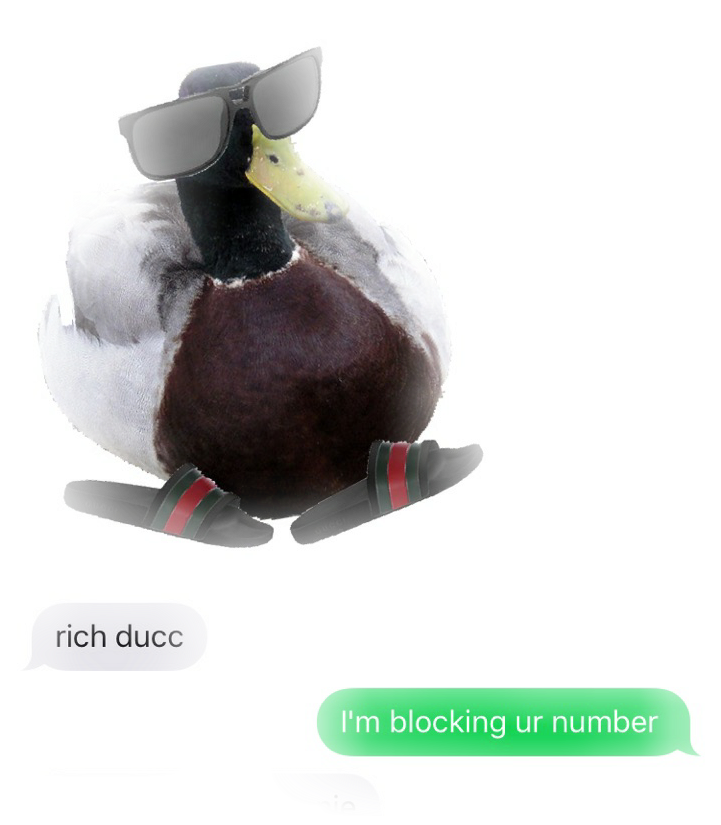 Stylish Duck With Sunglassesand Shoes PNG image
